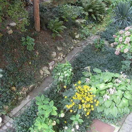 Apartament Judy And Sandor *