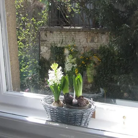 Apartament Judy And Sandor